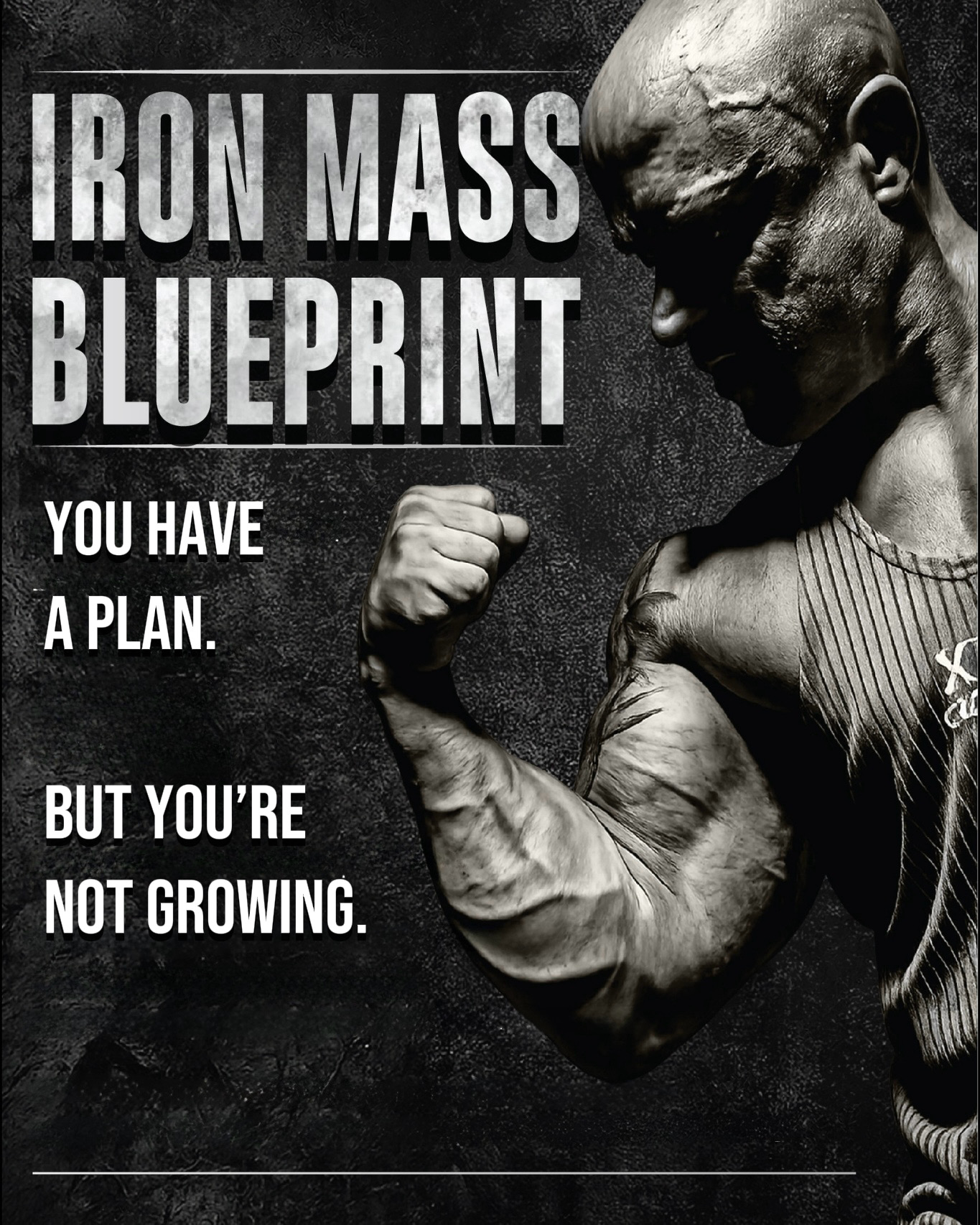 Iron Mass Blueprint – you have a plan, but no real muscle gain