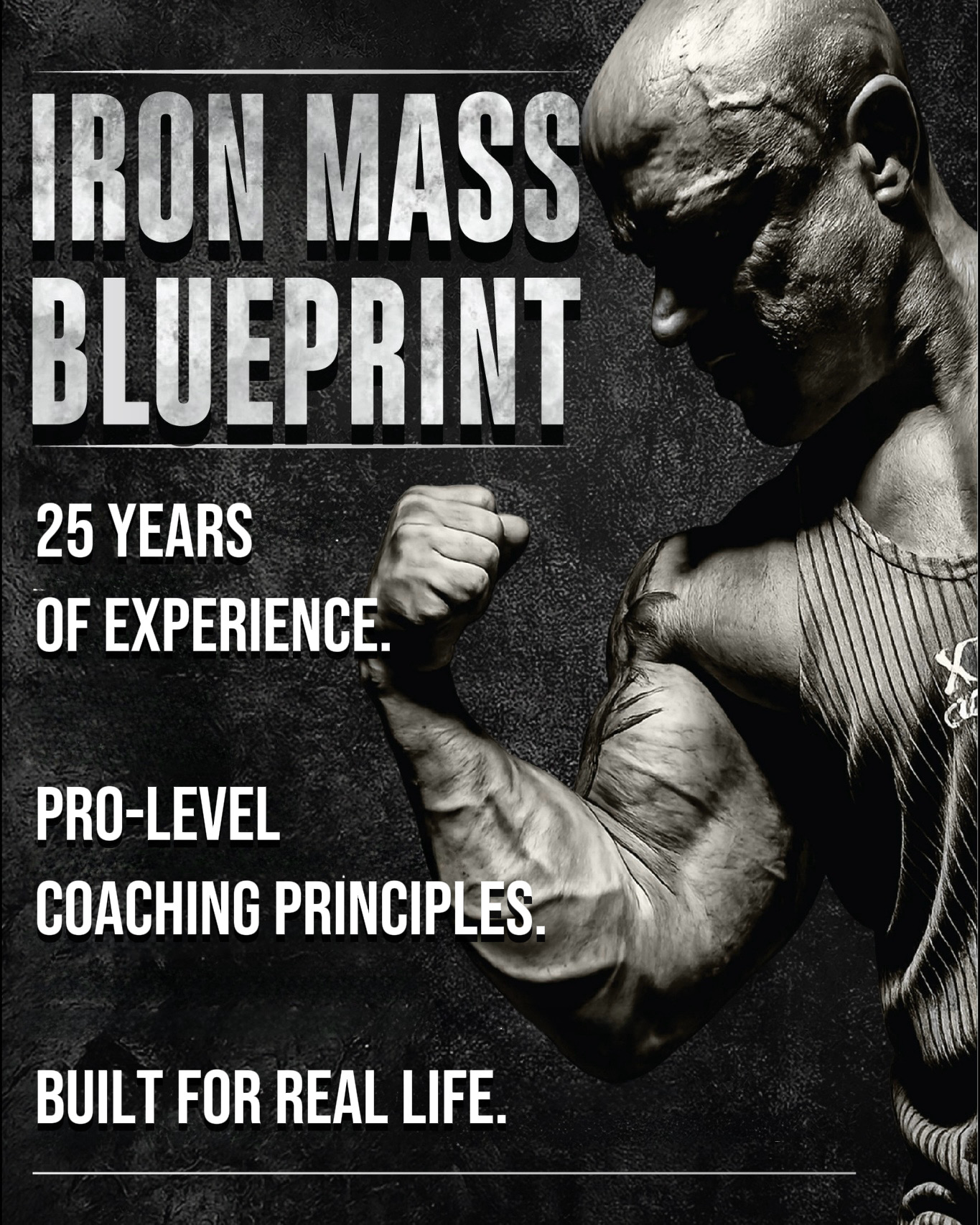 Iron Mass Blueprint – 25 years of practice and proven bodybuilding principles