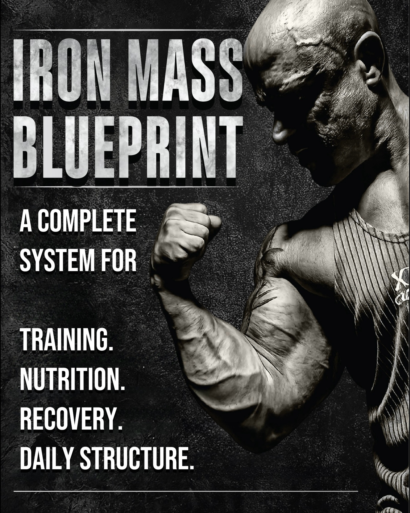 Iron Mass Blueprint – a system for training, nutrition, recovery and daily structure