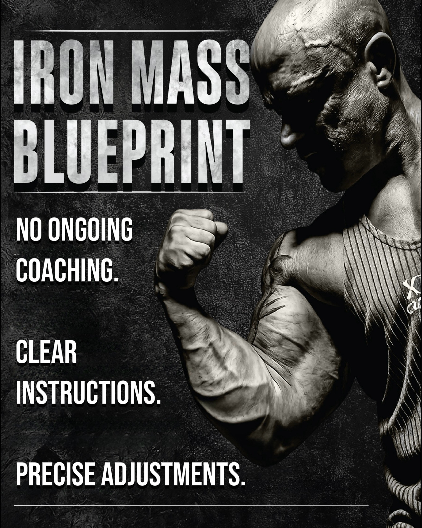 Iron Mass Blueprint – no additional coaching, clear instructions and precise adjustments