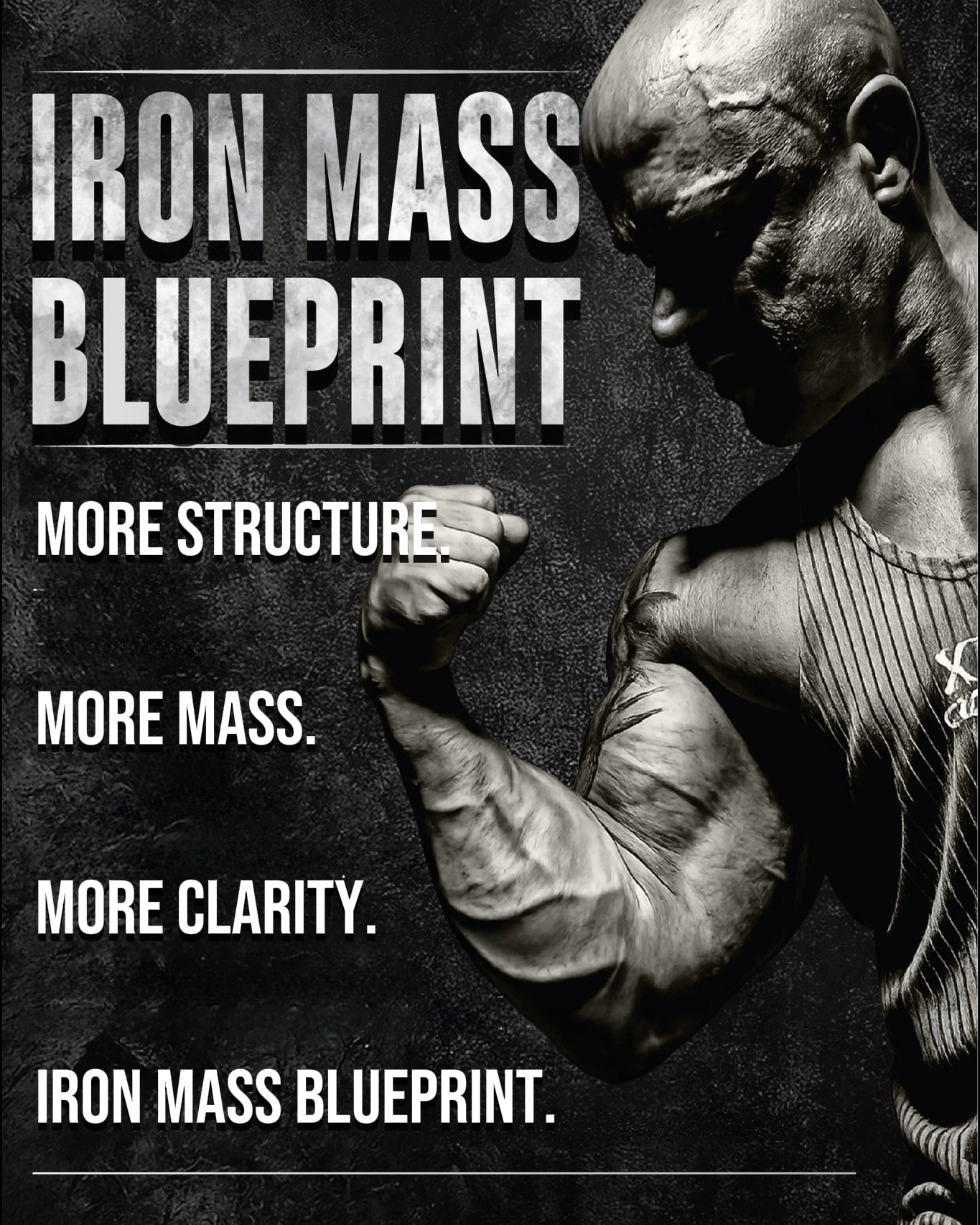 Iron Mass Blueprint – more structure, more mass, more clarity
